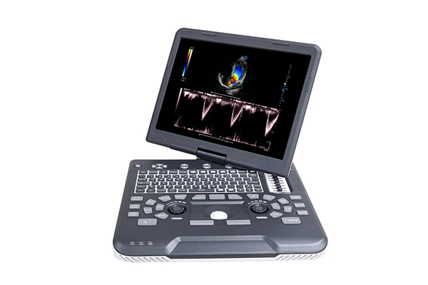Apogee 1000